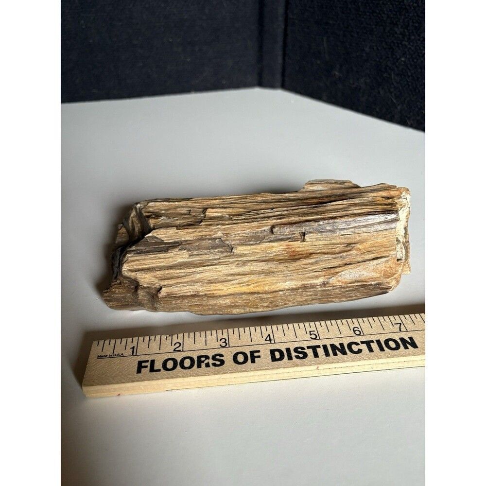 4lb Natural petrified wood rough Wood fossil mineral specimen healing energy